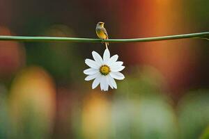 a bird sits on a flower stem with a flower in the background. AI-Generated photo