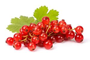 Currant isolated on white background AI Generated photo
