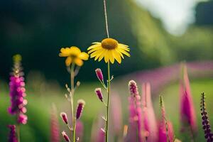 foto fondo de pantalla el cielo, flores, el sol, el flores, el sol, el flores. generado por ai