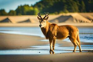 a deer stands on the beach in front of a forest. AI-Generated photo