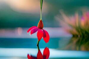 a red flower is floating in the water. AI-Generated photo