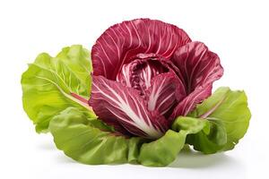 Radicchio isolated on white background AI Generated photo