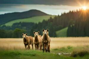 three horses walking in the grass at sunset. AI-Generated photo