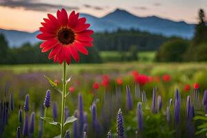 a red flower stands in front of a field of purple flowers. AI-Generated photo