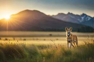 a dog stands in a field at sunset. AI-Generated photo