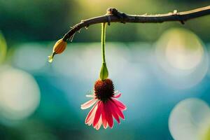 a pink flower hanging from a branch. AI-Generated photo