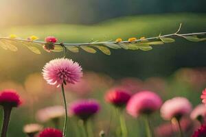 flores en el campo. generado por ai foto