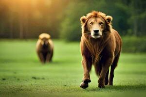 dos leones caminando en el césped. generado por ai foto