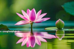 rosado loto flor en agua con verde hojas. generado por ai foto