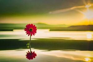 a single red flower is standing in the water at sunset. AI-Generated photo