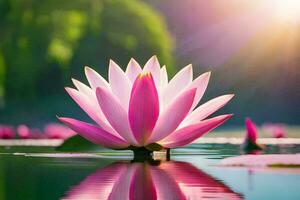 pink lotus flower in the water with the sun shining. AI-Generated photo
