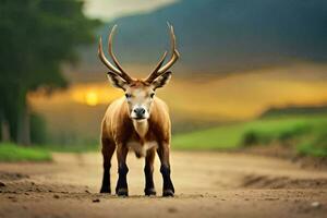 un ciervo con grande cuernos en pie en un suciedad la carretera. generado por ai foto