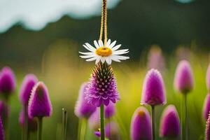 a daisy hanging from a string in a field of purple flowers. AI-Generated photo