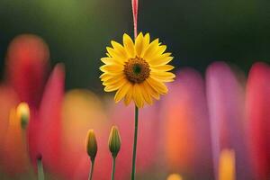 a yellow flower stands out in front of a field of colorful flowers. AI-Generated photo