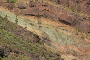 A rock texture photo