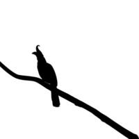 Great Horn Bird Silhouette Perched on the Branch Tree Silhouette. Vector Illustration
