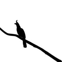 Great Horn Bird Silhouette Perched on the Branch Tree Silhouette. Vector Illustration