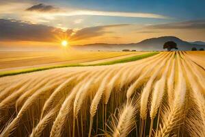 a field of wheat is shown at sunset. AI-Generated photo