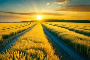 a field of wheat is shown at sunset. AI-Generated photo
