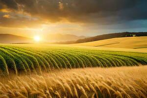 un campo de trigo es visto en el puesta de sol. generado por ai foto