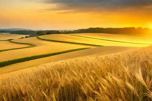 a field of wheat is shown at sunset. AI-Generated photo