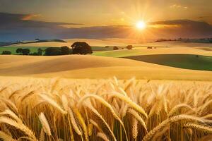 a field of wheat is shown at sunset. AI-Generated photo