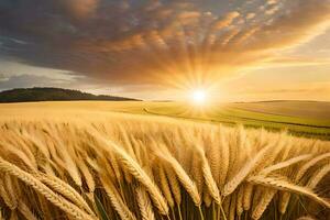 golden wheat field at sunset. AI-Generated photo