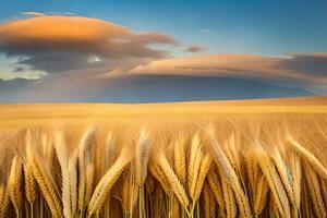 un campo de trigo con un montaña en el antecedentes. generado por ai foto