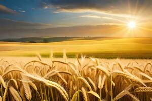 golden wheat field at sunset. AI-Generated photo