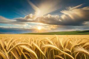 golden wheat field at sunset. AI-Generated photo