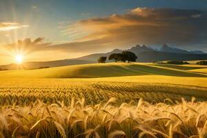 dorado trigo campo a puesta de sol. generado por ai foto