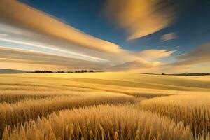 a long exposure photograph of a field of wheat. AI-Generated photo
