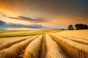 a field of wheat is shown at sunset. AI-Generated photo