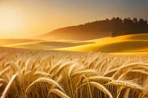 golden wheat field at sunset. AI-Generated photo