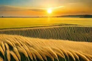 un campo de trigo es mostrado a puesta de sol. generado por ai foto