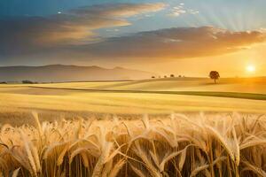 a field of wheat at sunset. AI-Generated photo