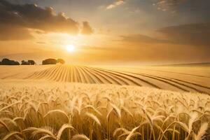 a field of wheat is shown at sunset. AI-Generated photo