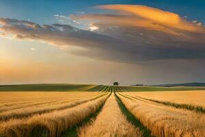 a field of wheat is shown under a cloudy sky. AI-Generated photo