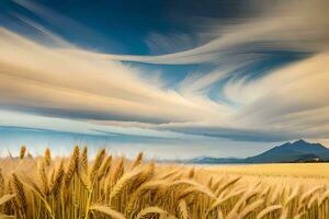 a field of wheat with clouds in the sky. AI-Generated photo