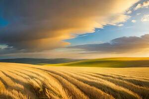 un campo de trigo es mostrado debajo un nublado cielo. generado por ai foto