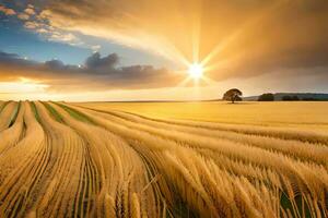 golden wheat field at sunset. AI-Generated photo