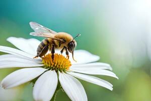 a bee is sitting on a white flower. AI-Generated photo