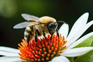 a bee on a flower with a green background. AI-Generated photo