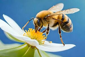 un abeja es en un blanco flor con un azul antecedentes. generado por ai foto