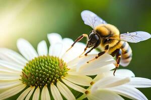 a bee is on a white flower with a green background. AI-Generated photo