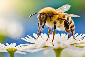 a bee is standing on a white flower. AI-Generated photo