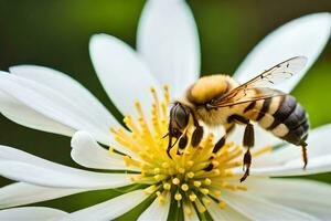 abeja en blanco flor con verde antecedentes. generado por ai foto