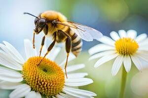 a bee is standing on a white flower. AI-Generated photo