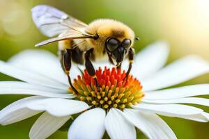 a bee on a white flower with a sun in the background. AI-Generated photo