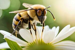 un abeja es sentado en un blanco flor. generado por ai foto